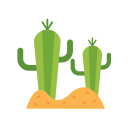 cactus icon