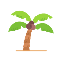 palmera icon