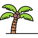 palmera icon