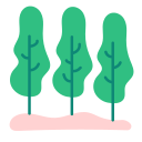 naturaleza icon