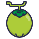 fruta icon