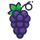 fruta icon