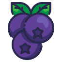 fruta icon