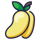 fruta icon