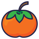 fruta icon