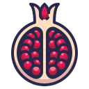 fruta icon