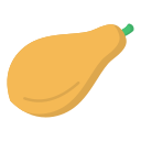 papaya icon