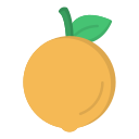 naranja icon