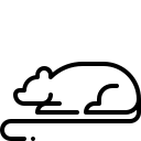 tier 