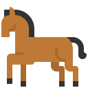 animal 