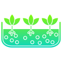 planta en crecimiento