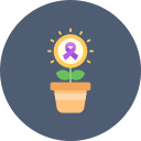 Plant pot