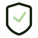 seguridad icon