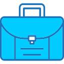 bolsa icon