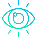 ojo icon