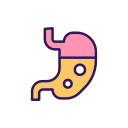 estomac icon