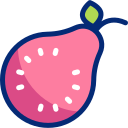 guayaba icon