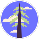 pino icon