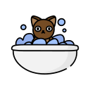 gato icon