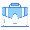 portafolio icon