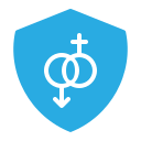 seguridad icon