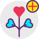 corazón icon