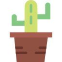 cactus icon