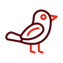 pájaro icon