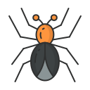 araña icon