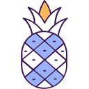 ananas icon