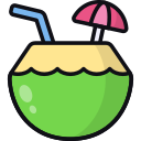 agua de coco icon