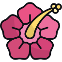 hibisco icon