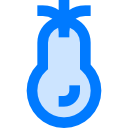 berenjena icon