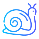 caracol