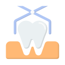 dental