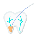 dental icon