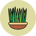 planta icon