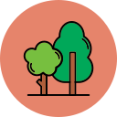 bosque icon