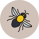 abeja icon