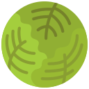 repollo icon