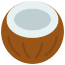 coco icon