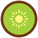 kiwi icon