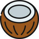 coco icon