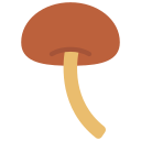 shitake 