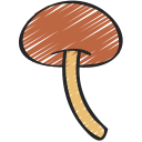 shitake 