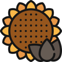 semilla de girasol icon