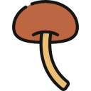 shiitake icon