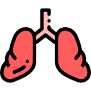 Lungs