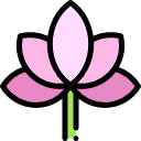 flor de loto icon