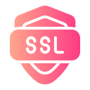 ssl icon